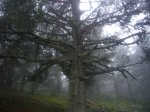 Foto18.JPG