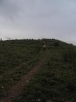 IMG_0193.jpg