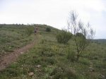 IMG_0194.jpg