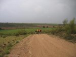 IMG_0201.jpg