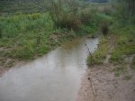 IMG_0212.jpg
