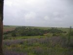 IMG_0214.jpg
