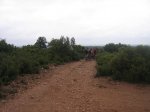IMG_0224.jpg