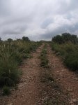 IMG_0234.jpg