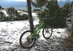 neu13w ibis.JPG