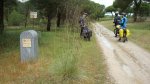CAMINO DE ALCAZARÃN.jpg