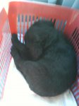 DSC00044.jpg