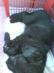 DSC00042.jpg