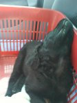 DSC00045.jpg