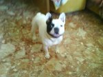 DSC00060.jpg