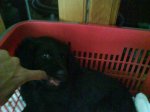 DSC00062.jpg