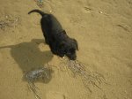 DSC08916.JPG