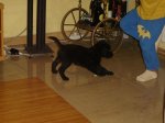 DSC08963.JPG