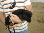 DSC08937.JPG