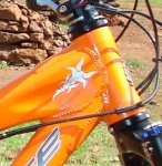 velo 011.jpg