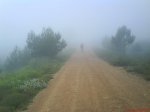 DSC00485.jpg