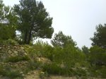 DSC00495.JPG