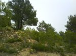 DSC00496.JPG
