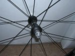 DSCN4559.jpg