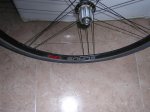 DSCN4564.jpg