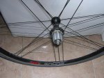 DSCN4565.jpg