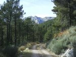 DSC00670.jpg