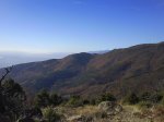 DSC00742.jpg
