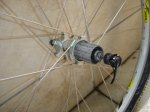 DSC04286.JPG