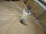 DSC04284.JPG