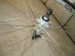 DSC04285.JPG