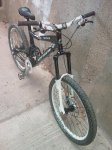IMAG0135.jpg