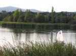 IMG_1363.jpg