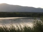 IMG_1364.jpg