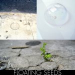 escapeBloomFloatSeed4.jpg