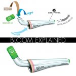 escapeBloomExplained6.jpg