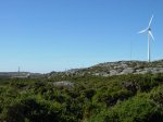 DSC05455.JPG