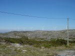 DSC05459.JPG