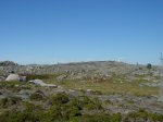 DSC05465.JPG