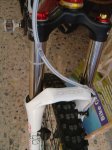 DSC09145.jpg