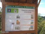 DSC00004.jpg