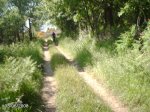 DSC00007.jpg