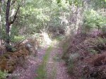 DSC00009.jpg