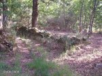 DSC00010.jpg