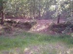 DSC00011.jpg