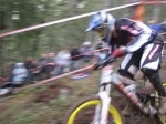 IMG_1020.JPG