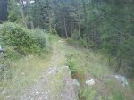 DSC00847.jpg