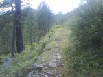 DSC00846.jpg