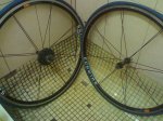 04062008047.jpg