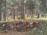 IMAG0043.jpg