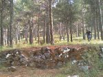IMAG0044.jpg